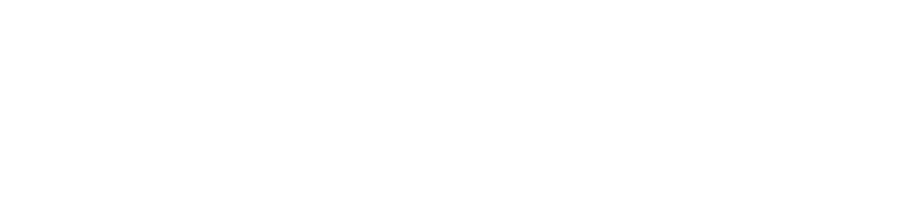 Logo Proxsis Infra Security white